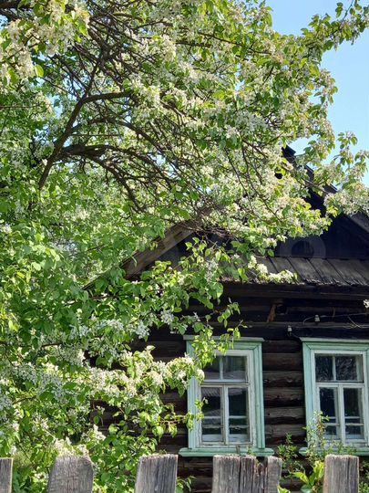 Дом 27 м² на участке 17 сот.