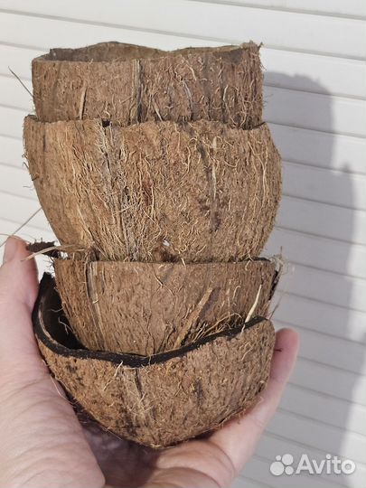 Кокосовая скорлупа