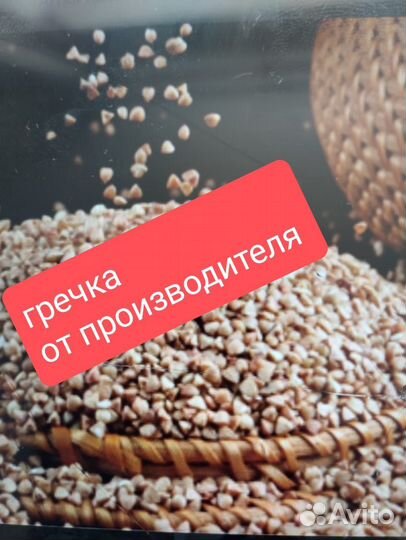 Гречка оптом