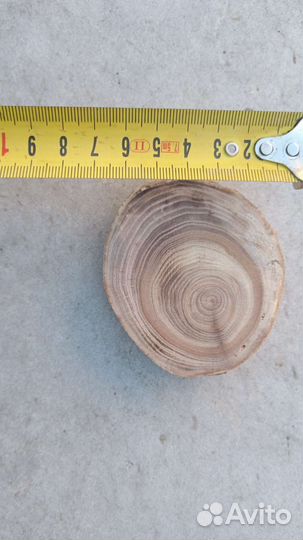 Слэб дерева и спилы