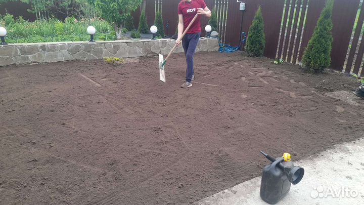 Рулонный,посевной газон