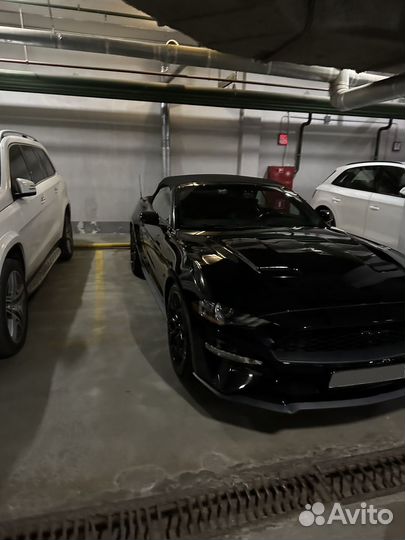 Ford Mustang 2.3 AT, 2019, 47 300 км