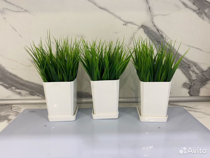 Зелень в кашпо