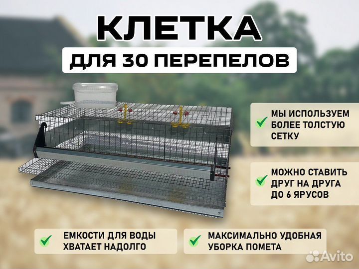 Клетка для 30 перепелов