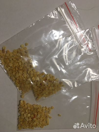 Семена сладкого перца