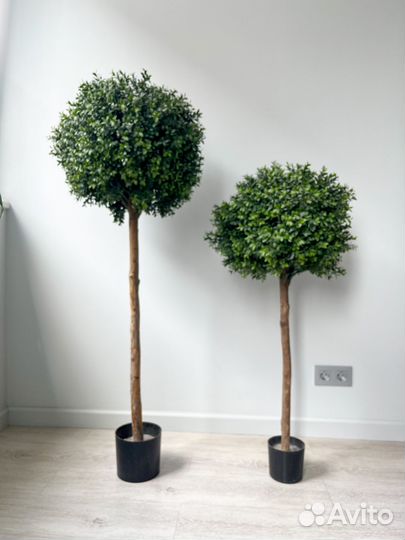 Продам самшит искусственное дерево 2 шт