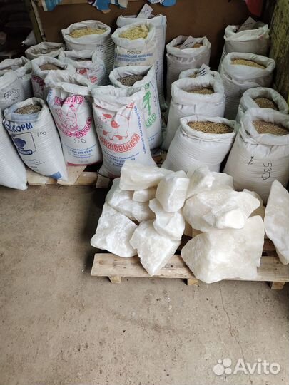 Зерно овес ячмень пшеница ролтон