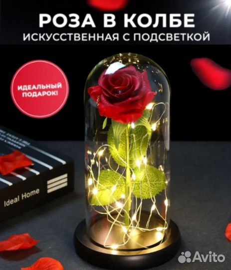 Роза в колбе