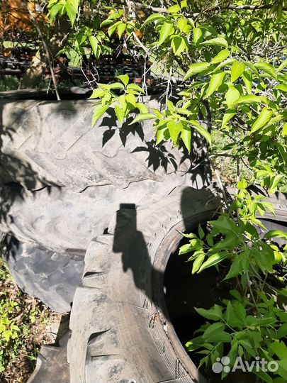 Резина на мтз 82 задняя