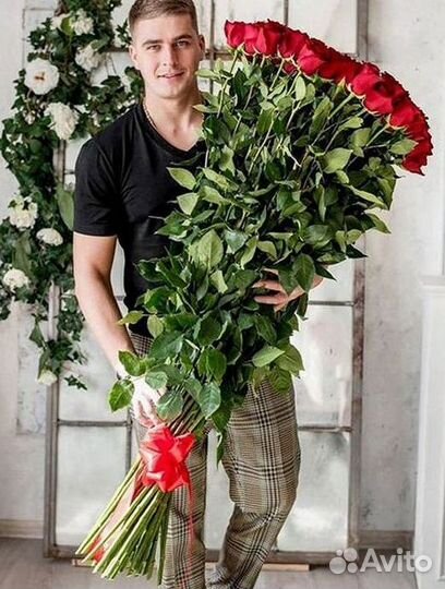 Розы гиганты 140 150 160 170 180 200