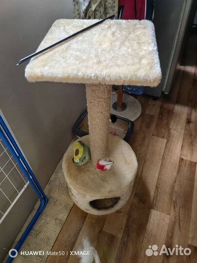 Домик когтеточка