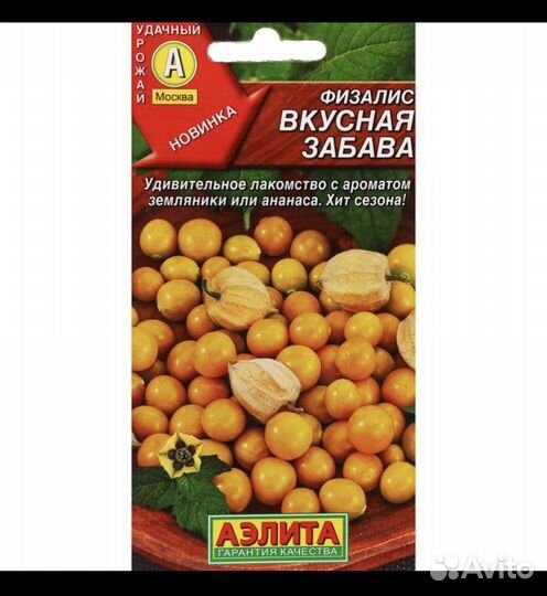 Семена физалис, статица, галихризум