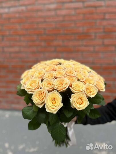 Кремовые ароматные розы. Букет 51 роза
