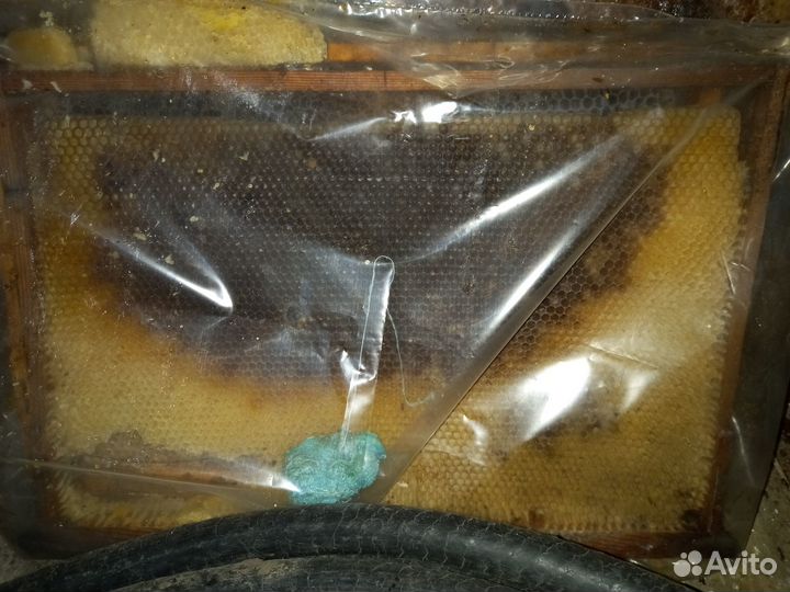 Рамки для подкормки пчел