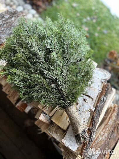 Веники из пихты для бани и сауны