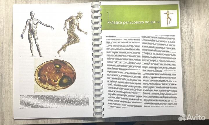 Анатомические поезда 4 издание