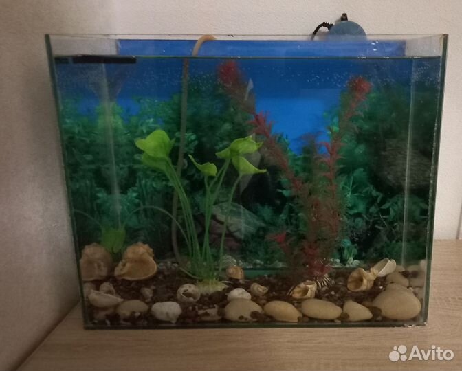Аквариум