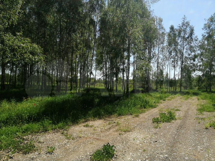 Участок 12 сот. (СНТ, ДНП)