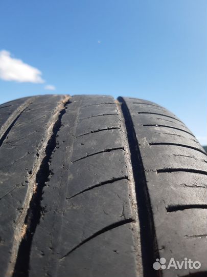 Pirelli Cinturato P1 Verde 195/55 R15 85H