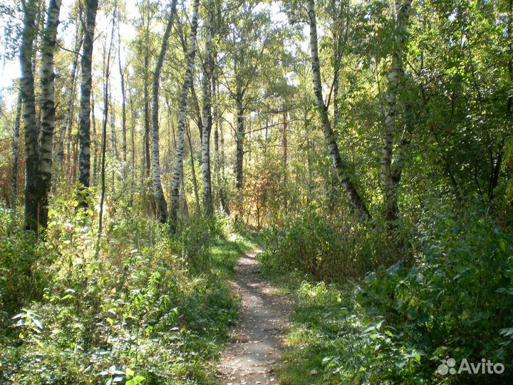 Фотоаппарат sanyo