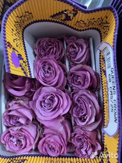 Свежие розы от склада. Букеты из роз с доставкой