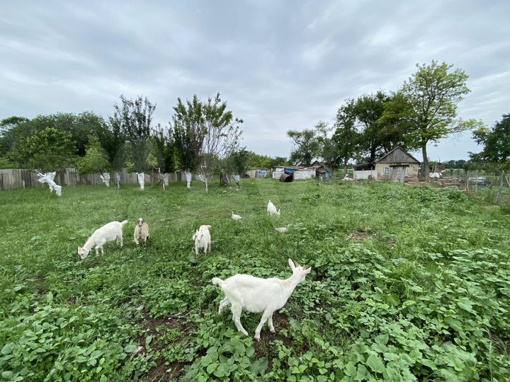 Дом 30 м² на участке 100 сот.