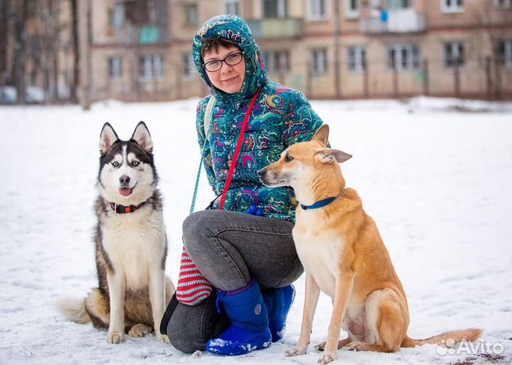 Кинолог и специалист по поведению собак