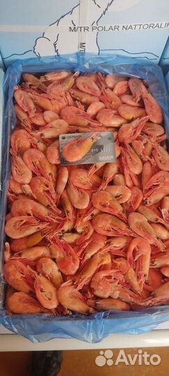 Живые и варёные раки