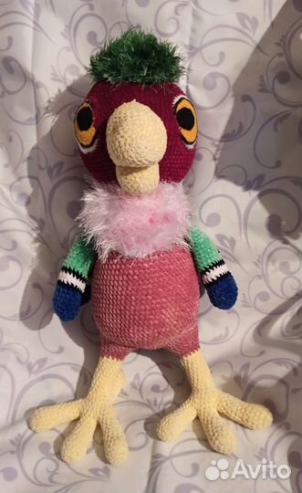 Попугай Кеша