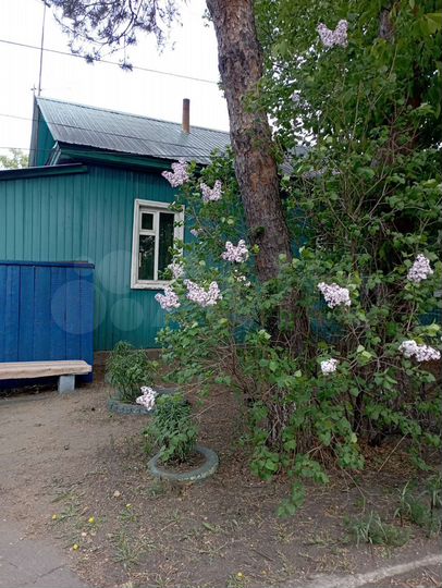 Дом 36,7 м² на участке 3,1 га