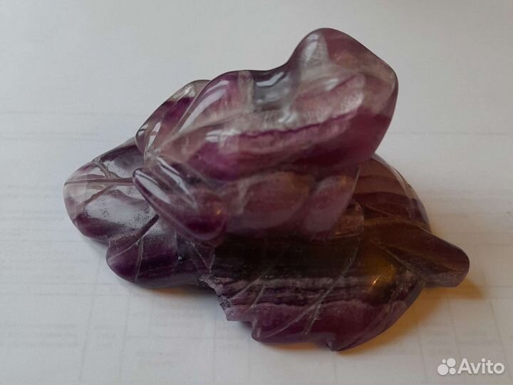 Лягушка в коллекцию