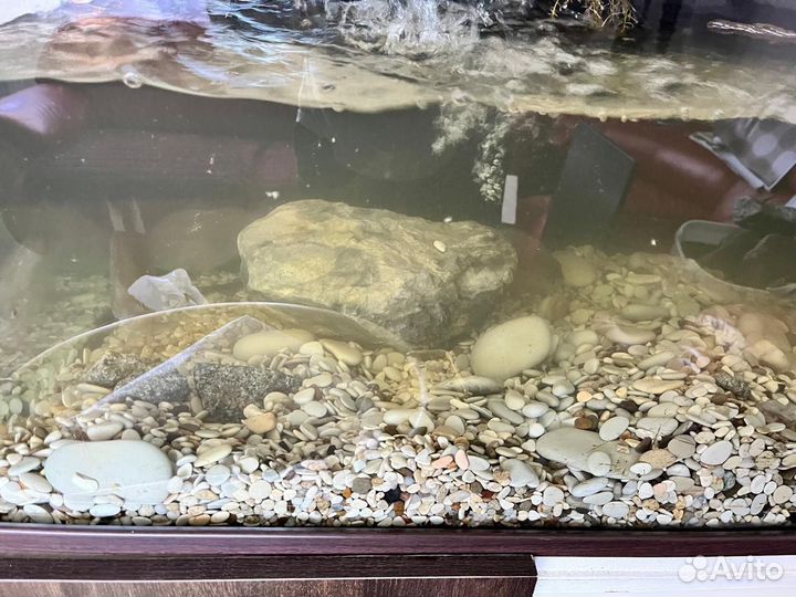 Грунт для аквариума галька