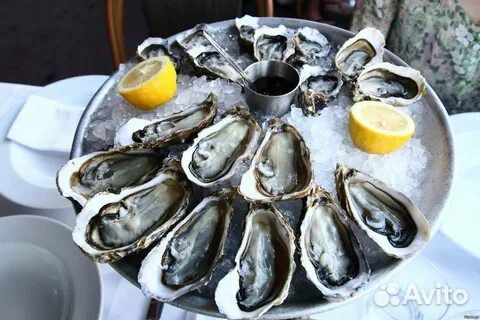 Дальневосточная Устрица, Камчатский краб, Гребешок