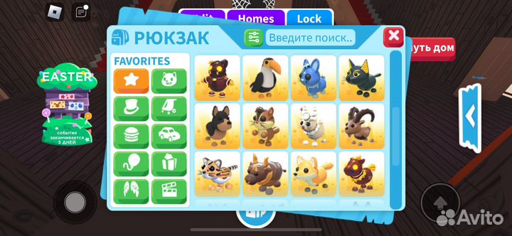 Питомцы адопт ми все по 5