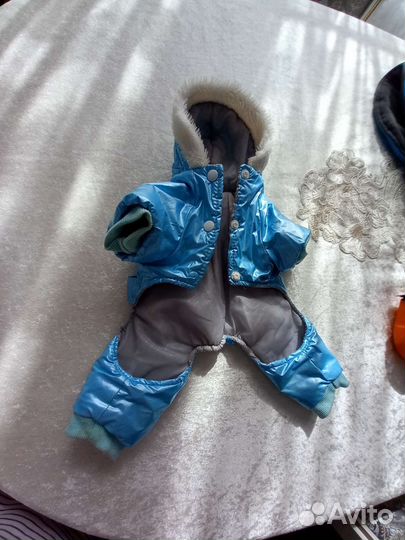 Комбинезон и куртка для собак