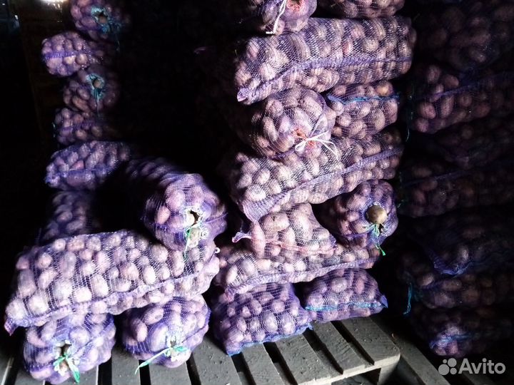 Продам картофель