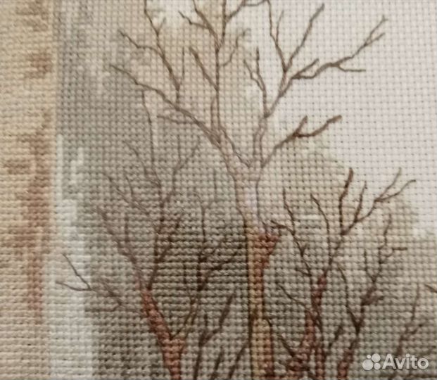 Бенгальские тигры