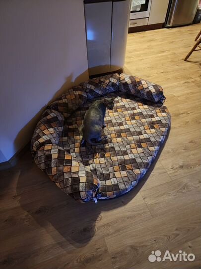 Продам лежанку для крупной собаки