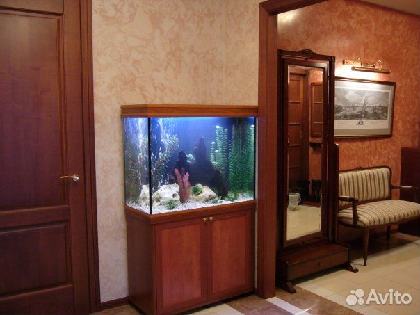 Обслуживание, чистка аквариумов и террариумов