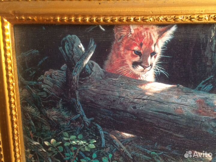 Картина в раме