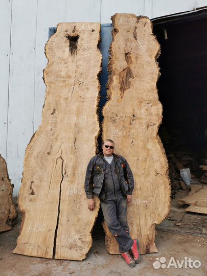 Слэб дерева