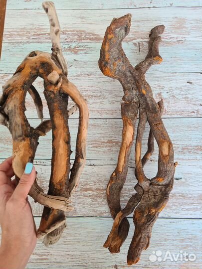 Морские коряги дрифтвуд