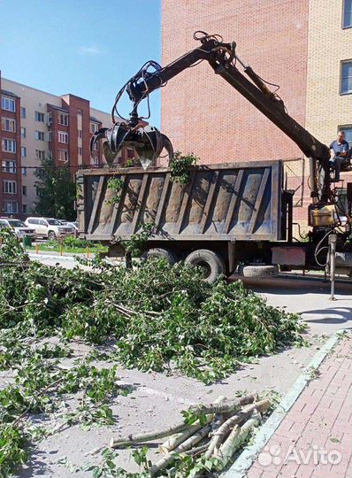 Спил деревьев, вывоз деревьев, расчистка участков