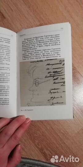 Рисунки Пушкина. Цявловская Т. Г