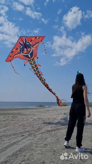 Воздушный змей большой