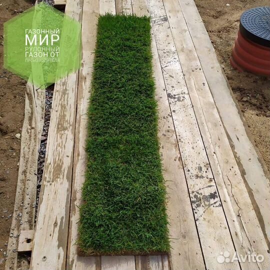 Рулонный газон