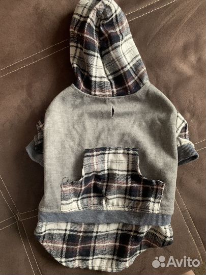 Одежда для животных