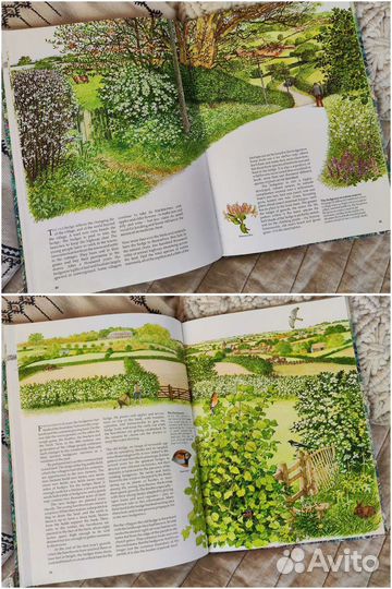 Винтажная книга о природе Англия