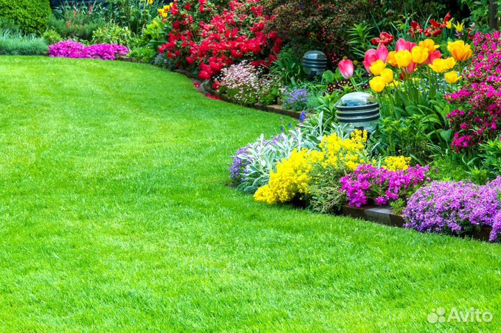 Рулонный газон - газон с укладкой