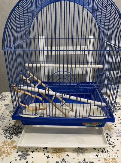 Клетка и воротник защитный на липучке